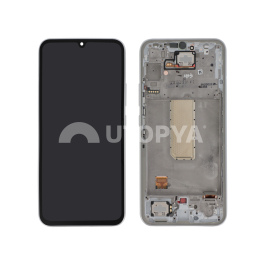 Ecran Complet Argent Galaxy A34 5G (A346B)