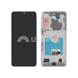 Ecran Complet Argent Galaxy S21+ 5G (G996B) (ReLife)