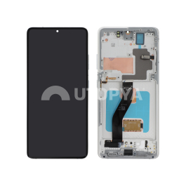 Ecran Complet Argent Galaxy S21 Ultra (G998B) (ReLife)