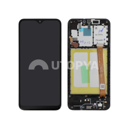 Ecran Complet Galaxy A20e (A202F)