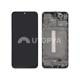 Ecran Complet Galaxy A25 5G (A256B)