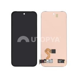Ecran Complet Google Pixel 9 (Sans Châssis) (ReLife)