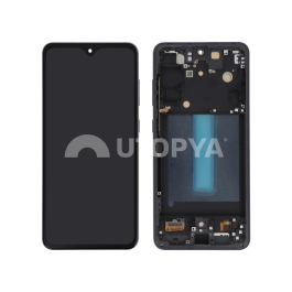 Ecran Complet Graphite OLED Galaxy S21 FE 5G (G990B)