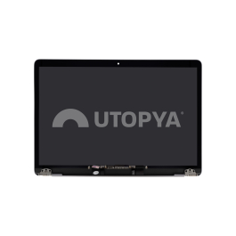 Ecran Complet Gris Sidéral Macbook Air 13" (A2179) (Sans logo)