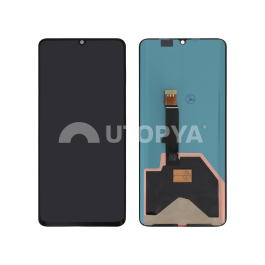 Ecran Complet Huawei P30 Pro (Sans châssis) (ReLife)