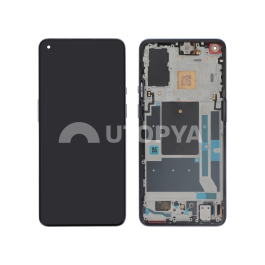 Ecran Complet Violet OnePlus 9