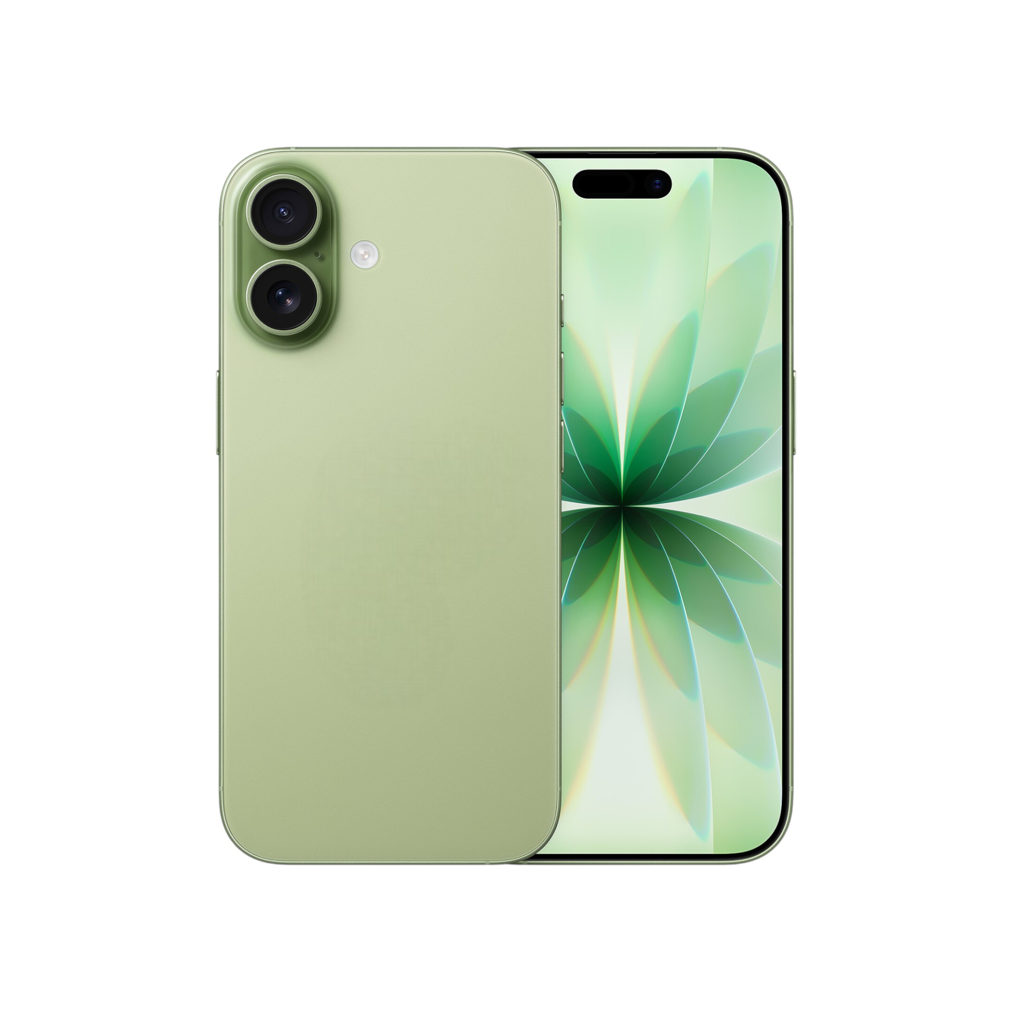 Factice Type iPhone 17 (Sauge)