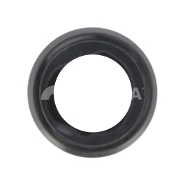 Lentille Caméra Arrière Noire iPhone 6S