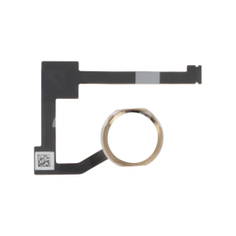 Nappe Bouton Home iPad Pro 12,9/Air 2/Mini 4 (Or)